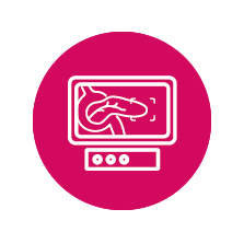 Procedure_assistance_02