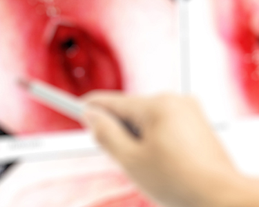 anwendungen-stage-mobil